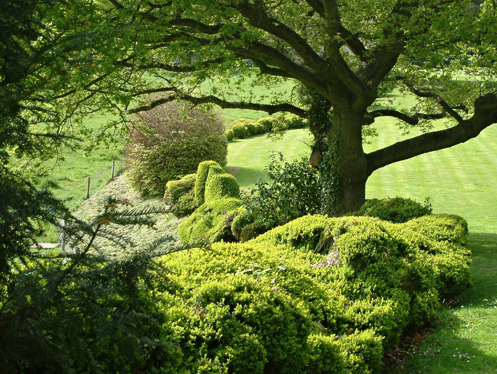 Farnborough Hall Garden Eric Hardy