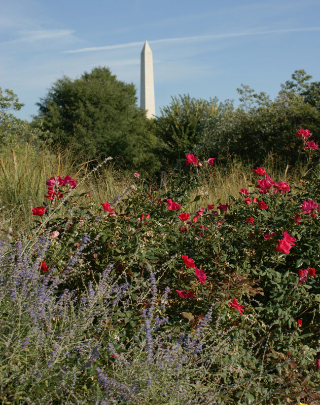 Federal Reserve Garden, District of Columbia