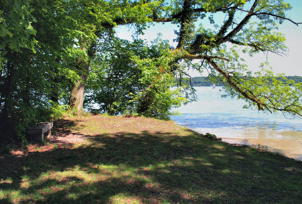 Feldafing Park