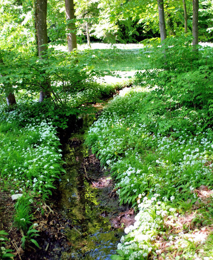 Feldafing Park, Germany