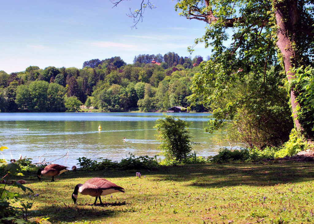 Lake Starnberg, Feldafing Park