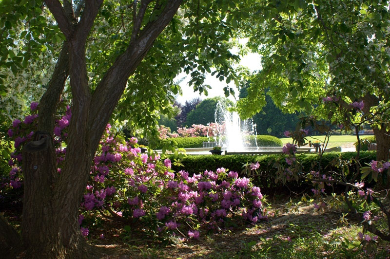Fellows Riverside Garden