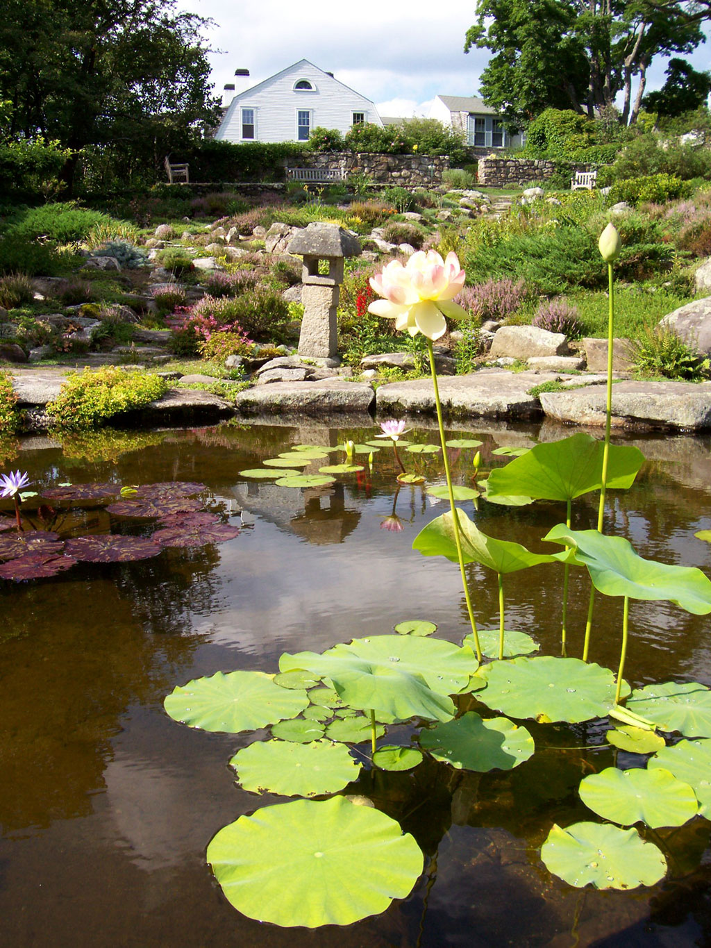 Rock Garden, The Fells Garden