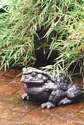 Feng shui frog