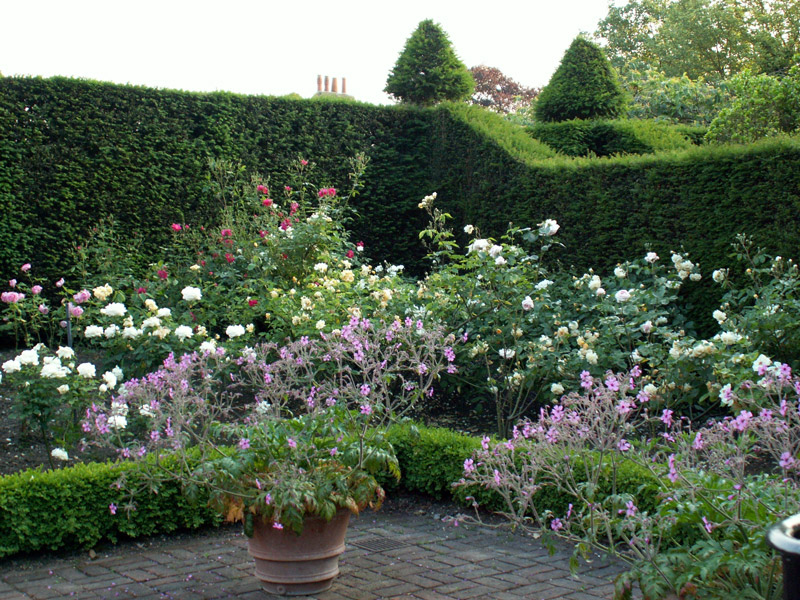 Rose Garden, Fenton House Garden