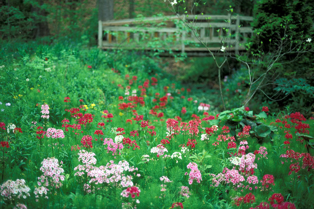 Fernwood Botanical Garden, Michigan