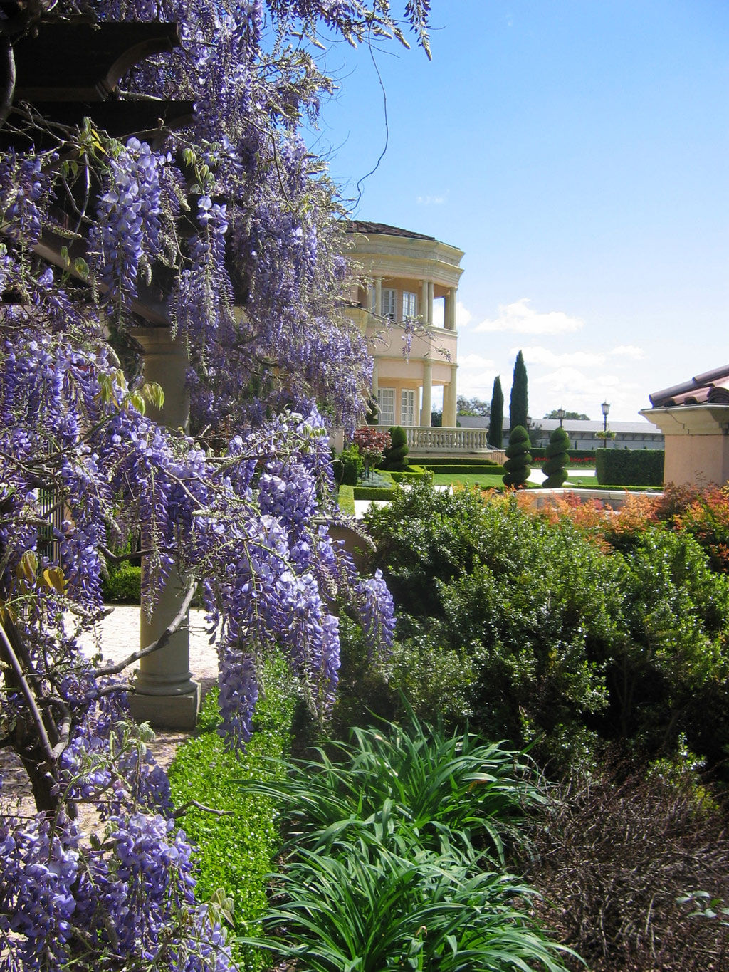 Wisteria, Ferrari-Carano