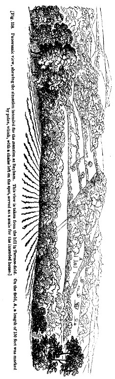 Fig118 bayham panoramic