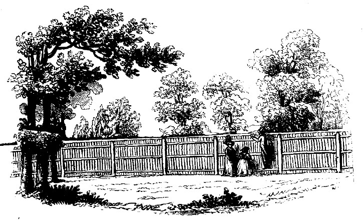 Fig1 landscape with slide