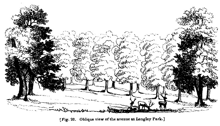 Fig20 avenue at lengley park