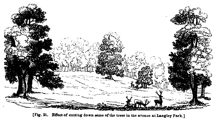 Fig21 lengley park without avenue