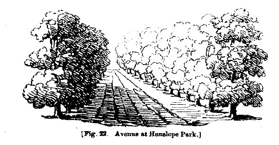 Fig22 avenue at hanslope park