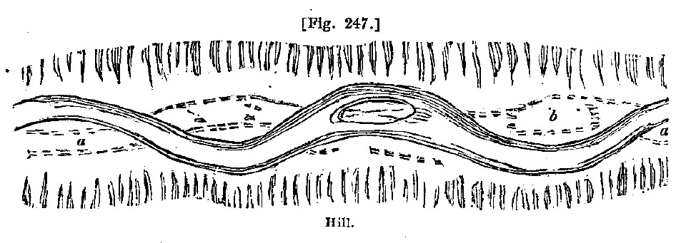 Fig247 course of river