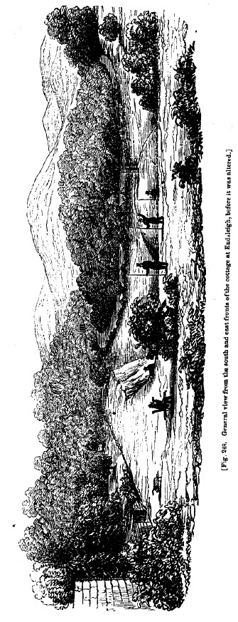 Fig248 endsleigh before