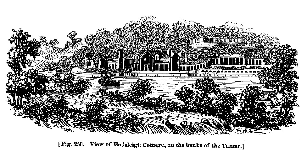 Fig250 endsleigh cottage