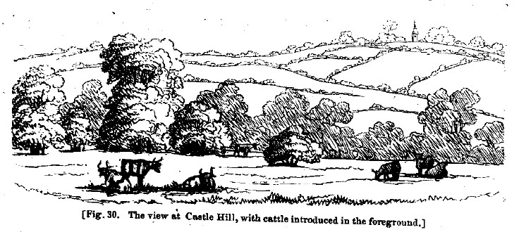 Fig30 castle hill after