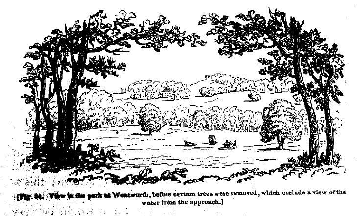 Fig54 wentworth park before