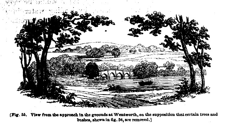 Fig55 wentworth park after