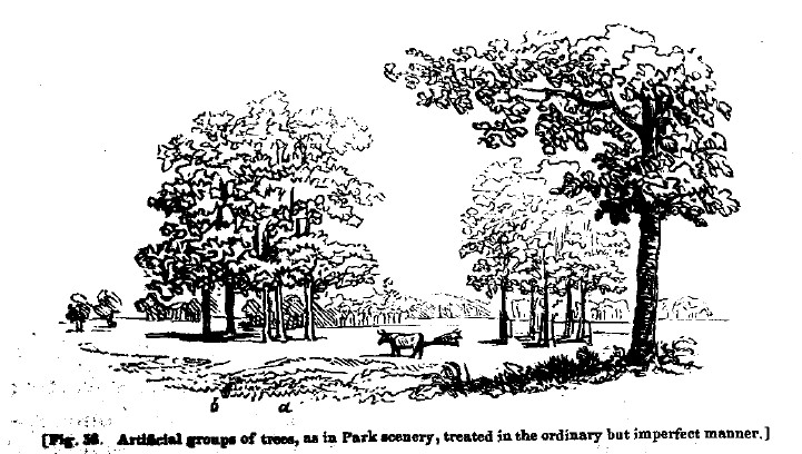 Fig58 artificial groups of trees in park scenery