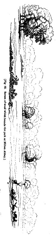 Fig62 milton abbey screen of wood