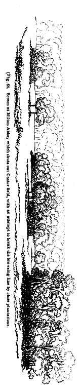 Fig64 screen at milton abbey open plantations
