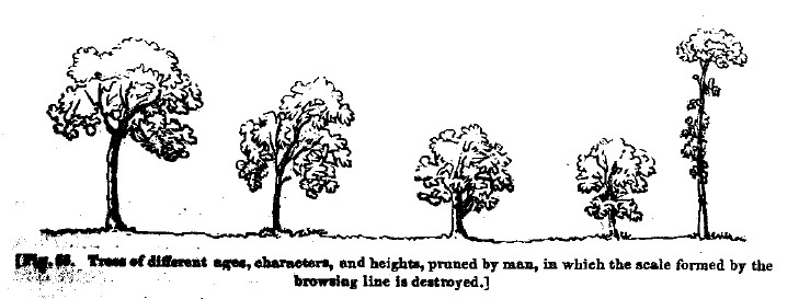 Fig66 browsing line destroyed