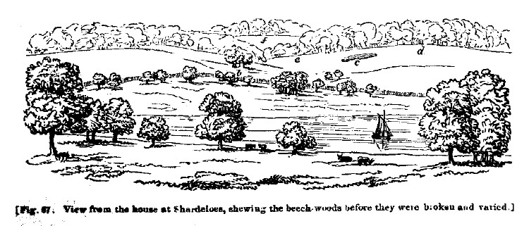 Fig67 beach wood at shardeloes before