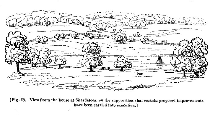 Fig68 beach wood at shardeloes after