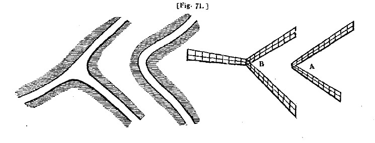 Fig71 lines of fences