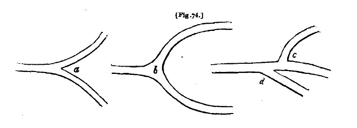 Fig74 lines of walks
