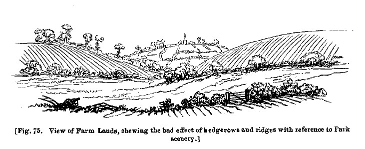 Fig75 bad effects of hedgerows and ridges