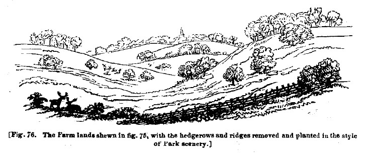 Fig76 farm lands with hedgerows removed