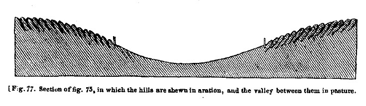 Fig77 section of farm lands