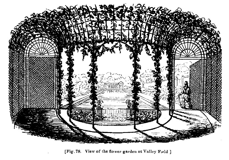 Fig78 flower garden valley field