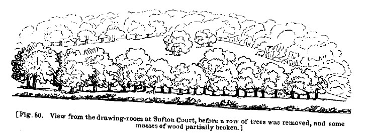 Fig80 sufton court before