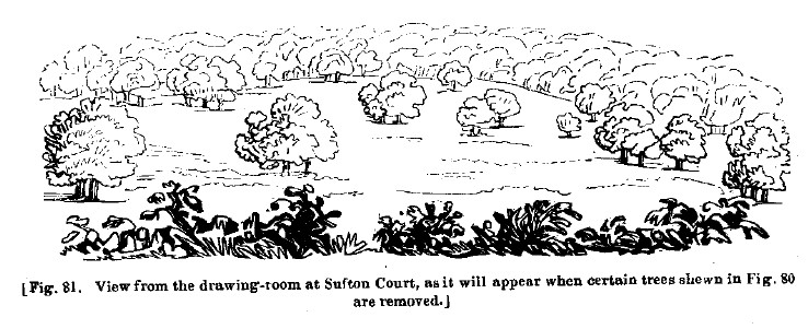 Fig81 sufton court after