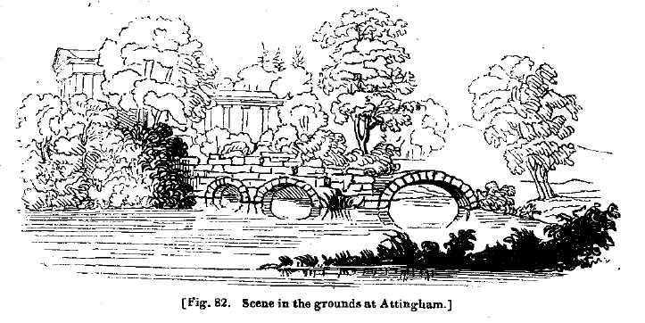 Fig82 attingham