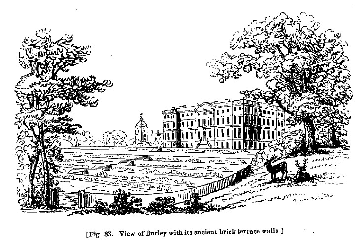 Fig83 burley with ancient brick wall