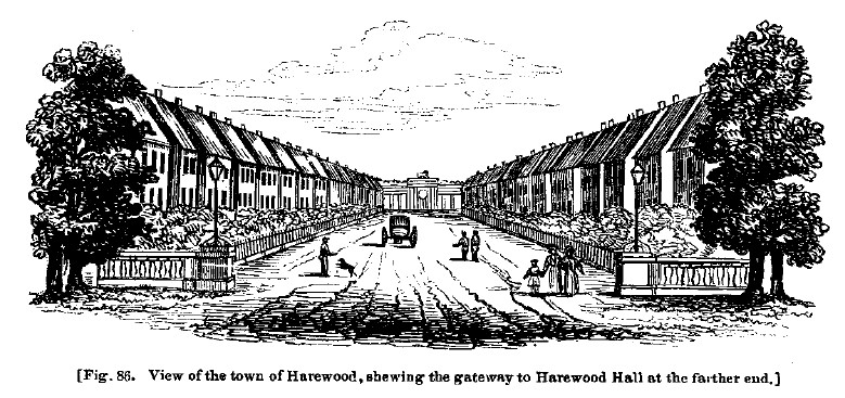 Fig86 harewood town