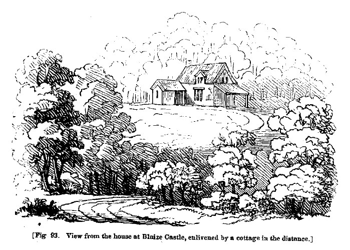 Fig93 blaize castle with cottage