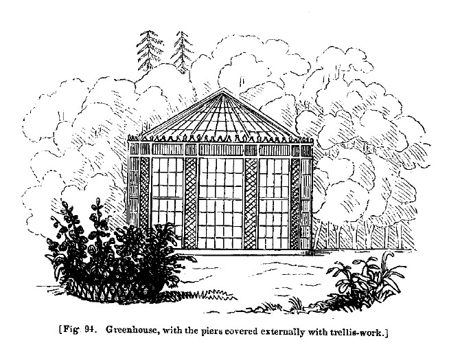 Fig94 greenhouse