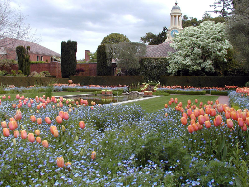 Filoli sunken garden