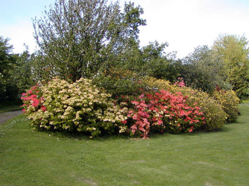 Finlaystone Country Estate