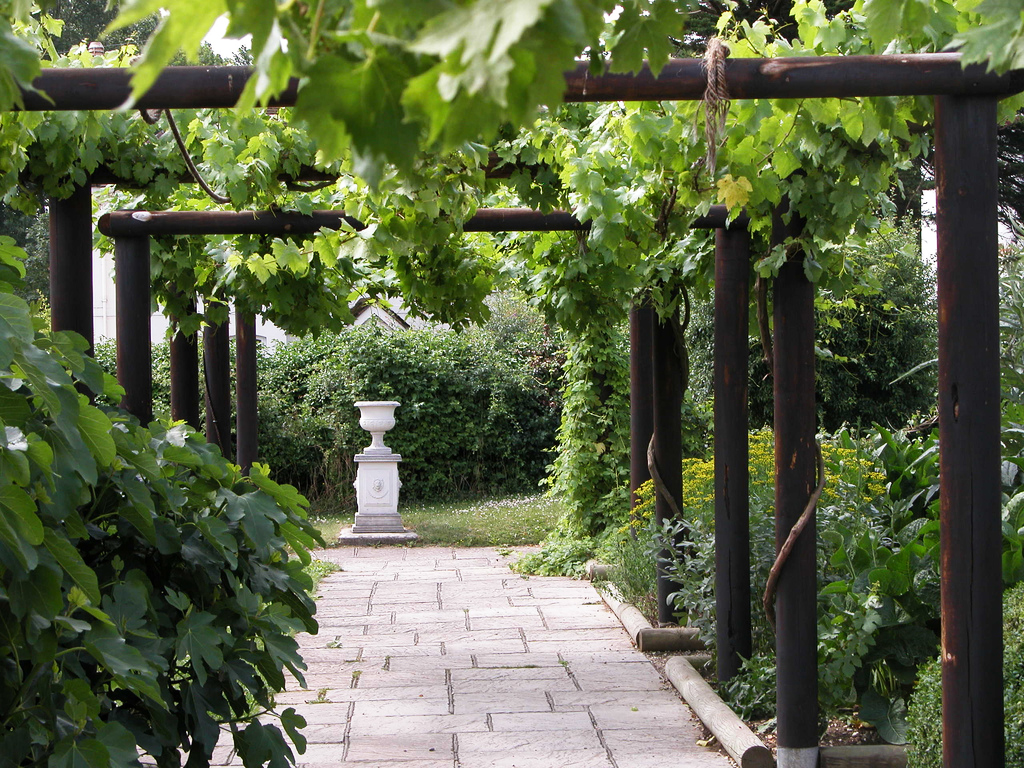 Fishbourne Roman Palace Garden Richard White