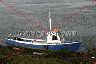 Fishing Boat Berwick