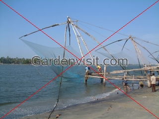 Fishing Boat Cochin