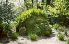Green Giant, Flora Garden Tours
