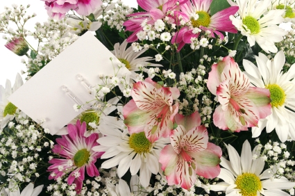 Plant and Flower Delivery in the UK