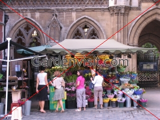 Flower Stall