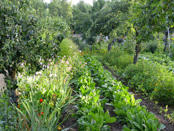 planting design on In France  With Fruit Trees  Flowers And Vegetable Planting Design